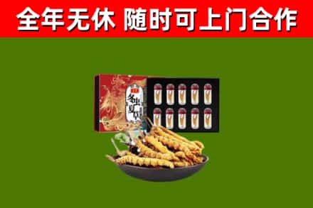 班戈县回收冬虫夏草价格